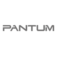 Máy In Pantum